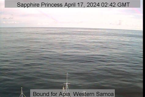 discovery princess webcam|Princess Bridgecams